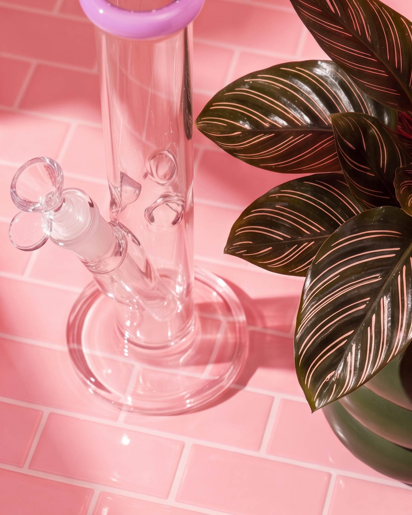 Bubble Pop Straight Tube Bong